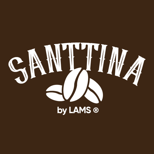 logo-santtina